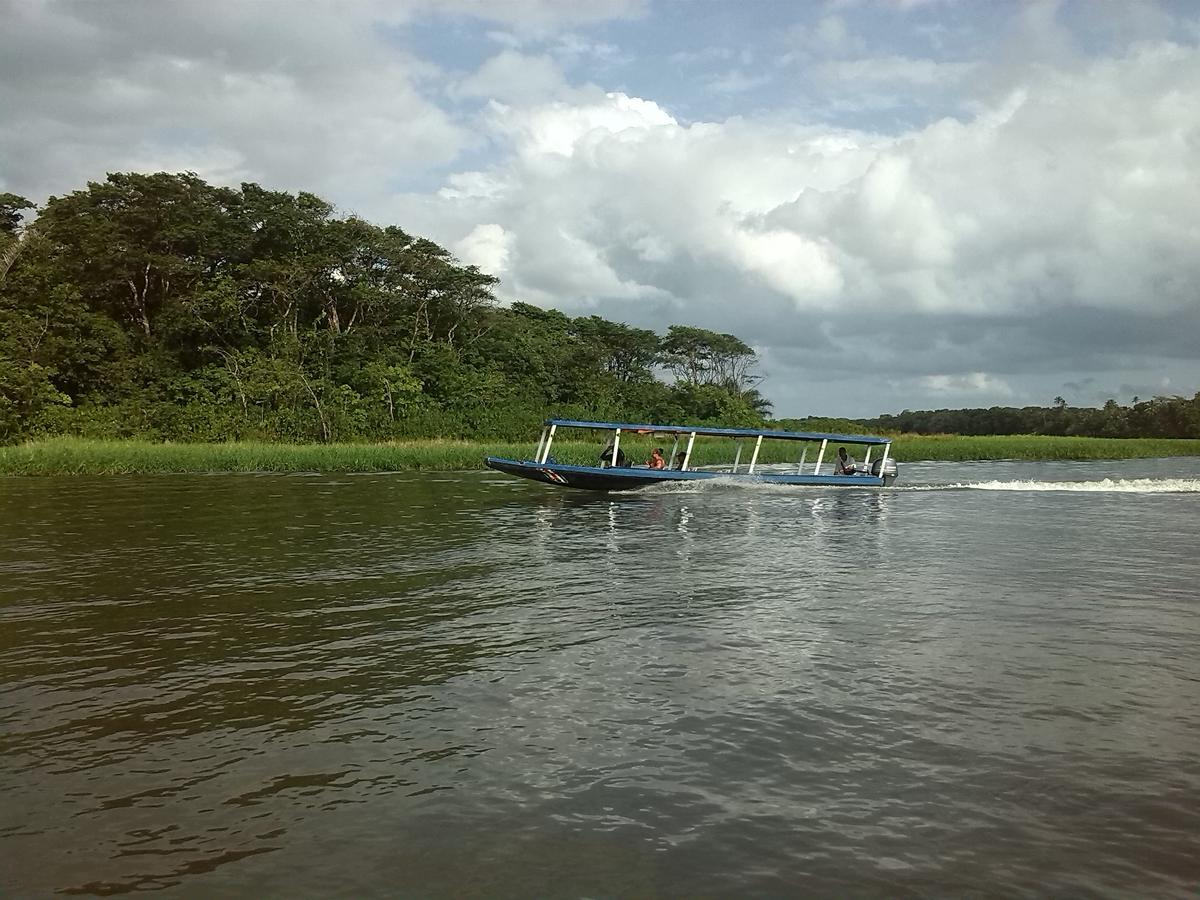 Hotel Vista Al Tortuguero Cariari  المظهر الخارجي الصورة